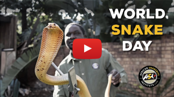 World Snake Day 2025